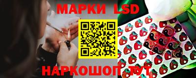 дмт Тверь