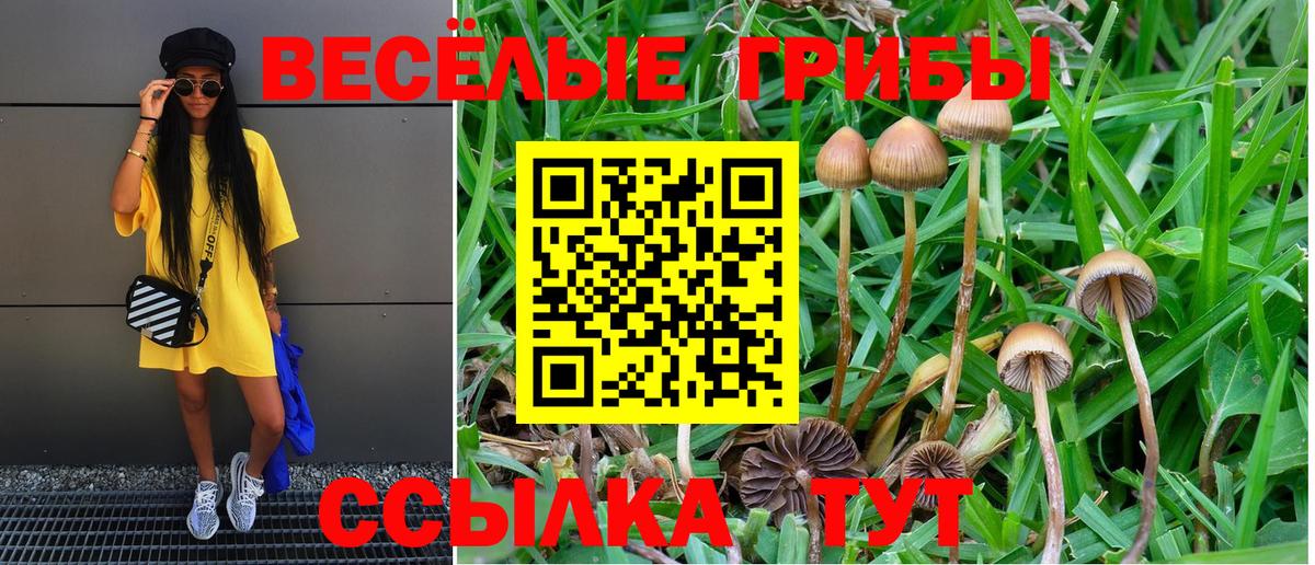 цены   Вход с VPN  Железноводск  Псилоцибиновые грибы мухоморы 