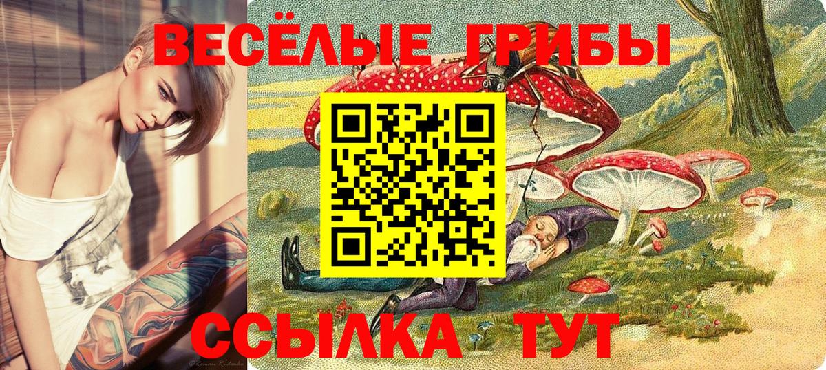 Галлюциногенные грибы мухоморы Железноводск